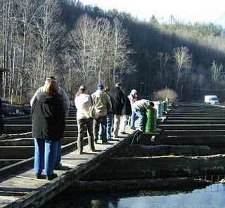 Appalachian Fish Farming