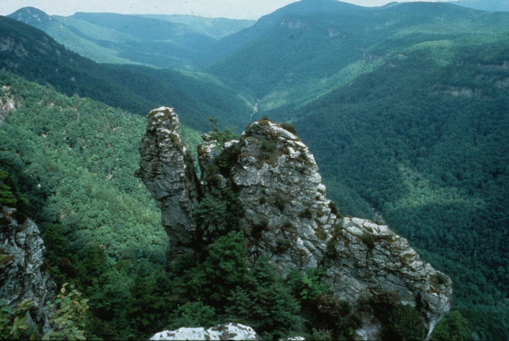 Linville Gorge