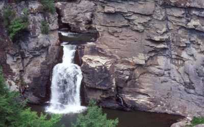 Natural Diversity of Linville Falls