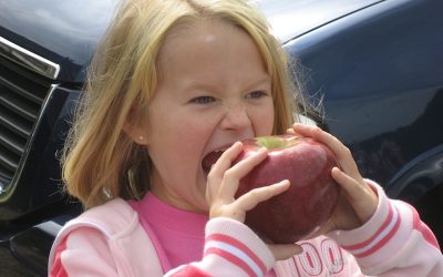 Apples